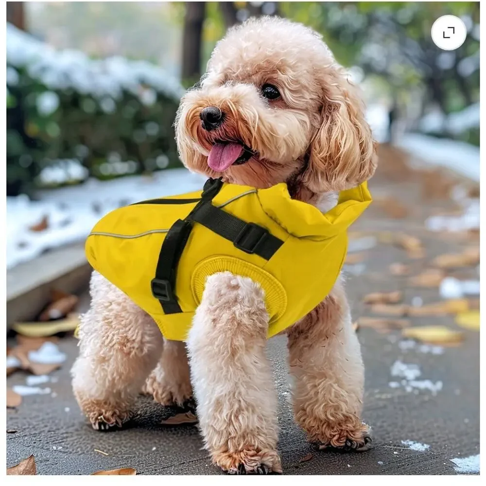 PcEoTllar brand, warm coat XL tag is actually tailored for small to medium dogs